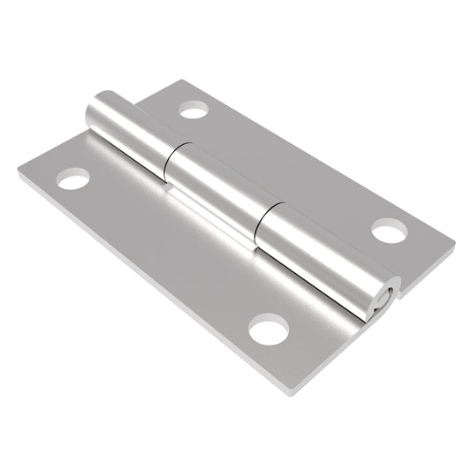 N6-DHIM-5030-SS | Surface Mount Hinge, 50 mm size, with Mounting Holes, Stainless Steel, Electro polished