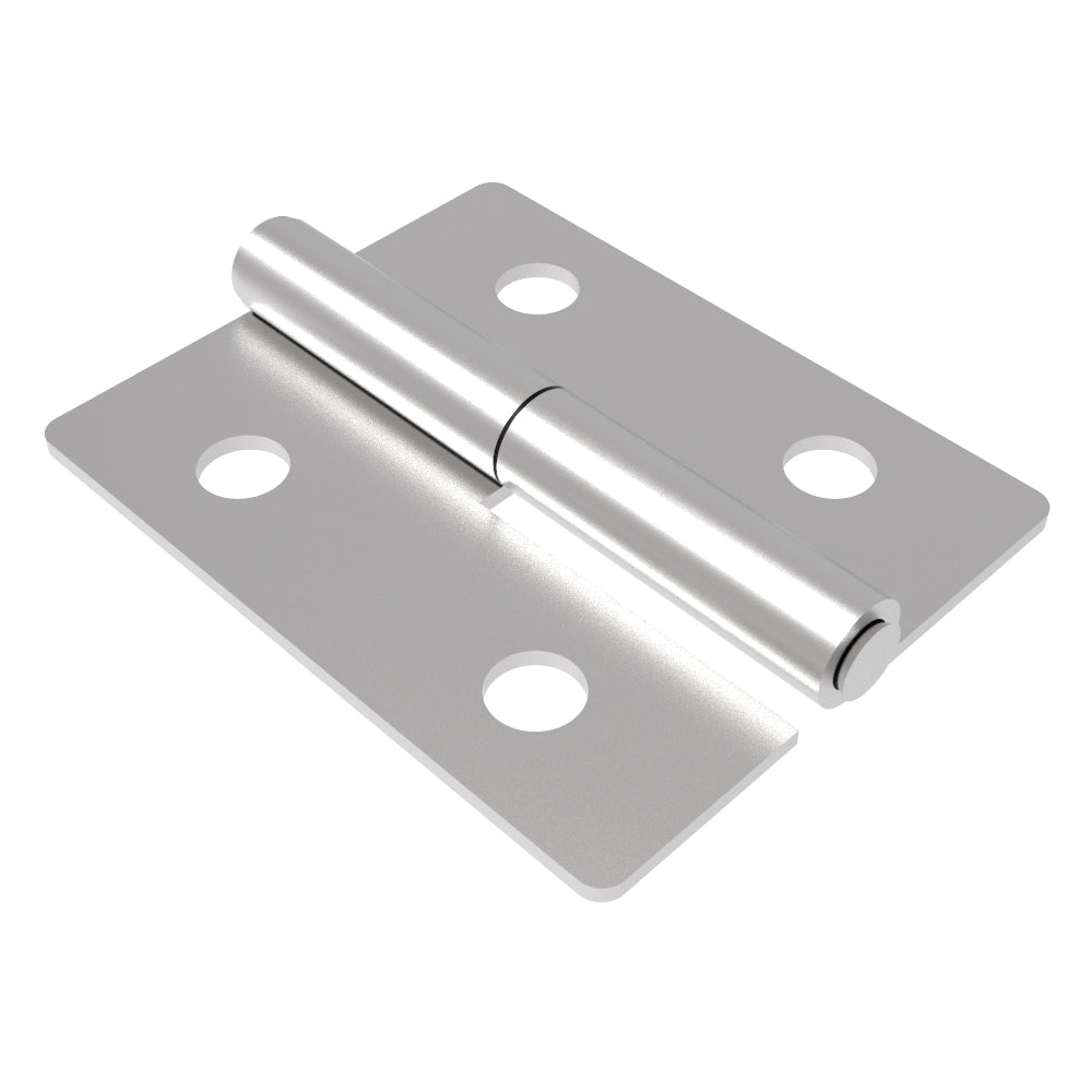 N6-DHIMF-6048-SS | Surface Mount Hinge, 60 mm size, with Mounting Holes, Stainless Steel, Electro polished